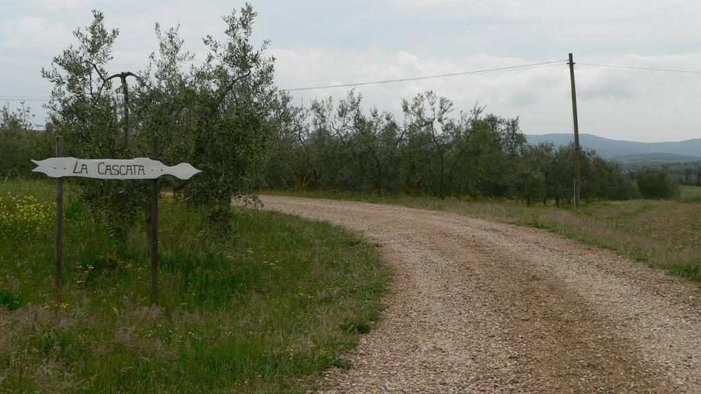 Agriturismo Podere La Cascata Βίλα Massa Marittima Εξωτερικό φωτογραφία