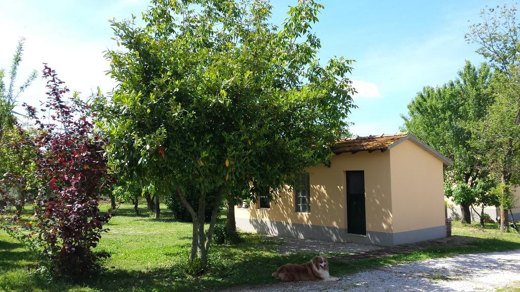 Agriturismo Podere La Cascata Βίλα Massa Marittima Εξωτερικό φωτογραφία