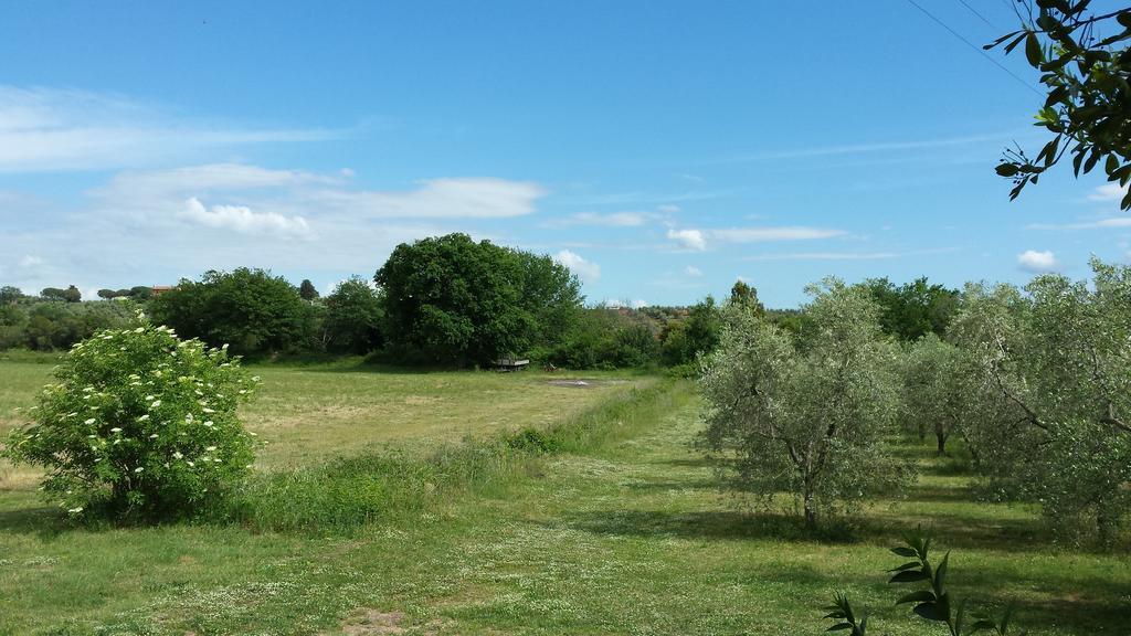 Agriturismo Podere La Cascata Βίλα Massa Marittima Εξωτερικό φωτογραφία
