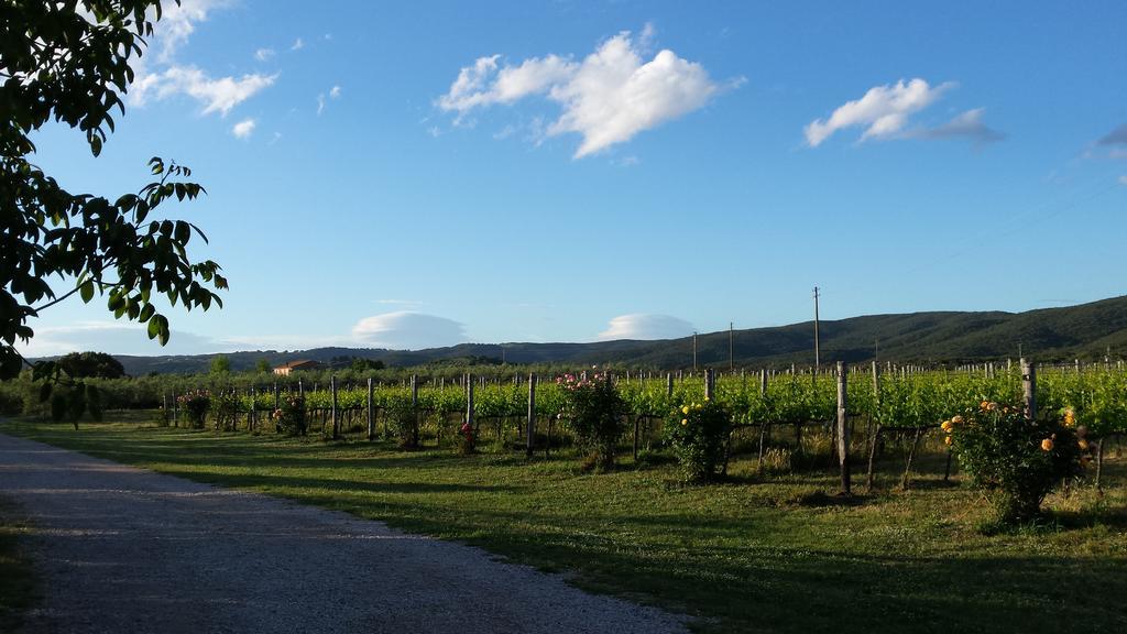 Agriturismo Podere La Cascata Βίλα Massa Marittima Εξωτερικό φωτογραφία
