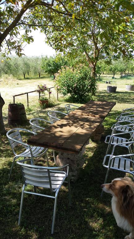 Agriturismo Podere La Cascata Βίλα Massa Marittima Εξωτερικό φωτογραφία