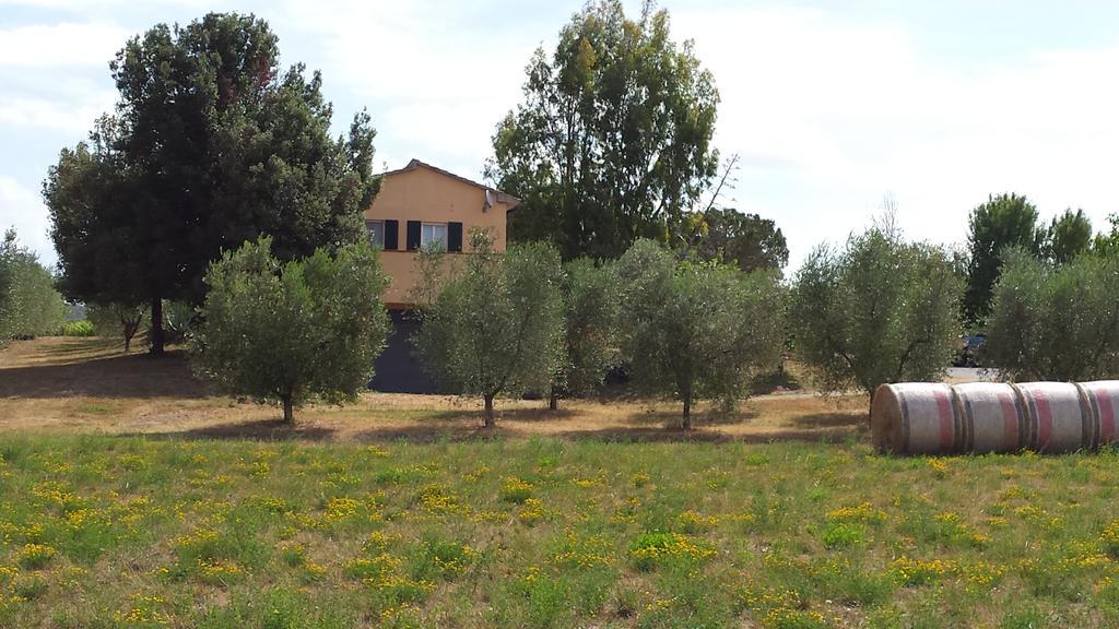 Agriturismo Podere La Cascata Βίλα Massa Marittima Εξωτερικό φωτογραφία